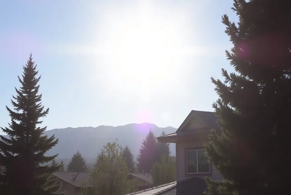 Castle Rock Landscaping: Smart Solutions for Sun, Clay, and Elevation Challenges