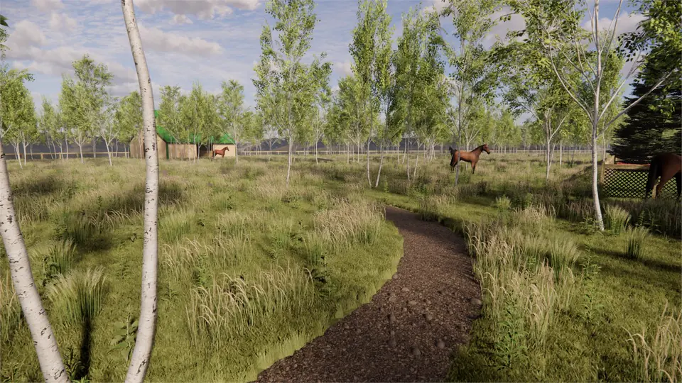 3D rendering of a mown path through a native meadow